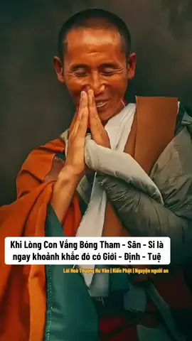 Khi tâm vắng bóng tham sân si là lúc đó có giới định tuệ ( hoà thượng Hư Vân )#thayminhtue #thichminhtue #phatphapnhiemmau #kienphat 