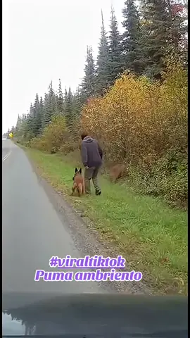 #graciasporseguirme❤ #LIVEIncentiveProgram #LIVERecognition #LIVERecognition 