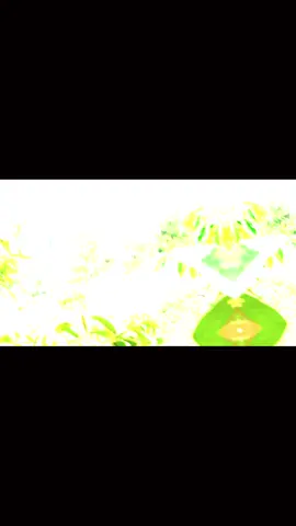 Công việc mỗi ngày💪😁#xuhuong #lamthue #saurieng