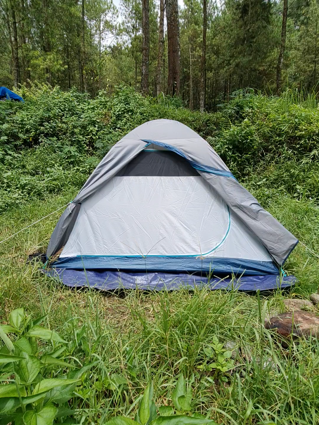 Camping itu bukan sekadar tidur di tenda, tapi tentang menikmati bintang, api unggun, dan tawa tanpa batas. Angin malam, aroma kopi, dan cerita seru jadi teman setia. Di alam, semua terasa nyata. Lepas penat, sambut petualangan baru. Camping? Selalu jadi kisah yang tak terlupakan!
