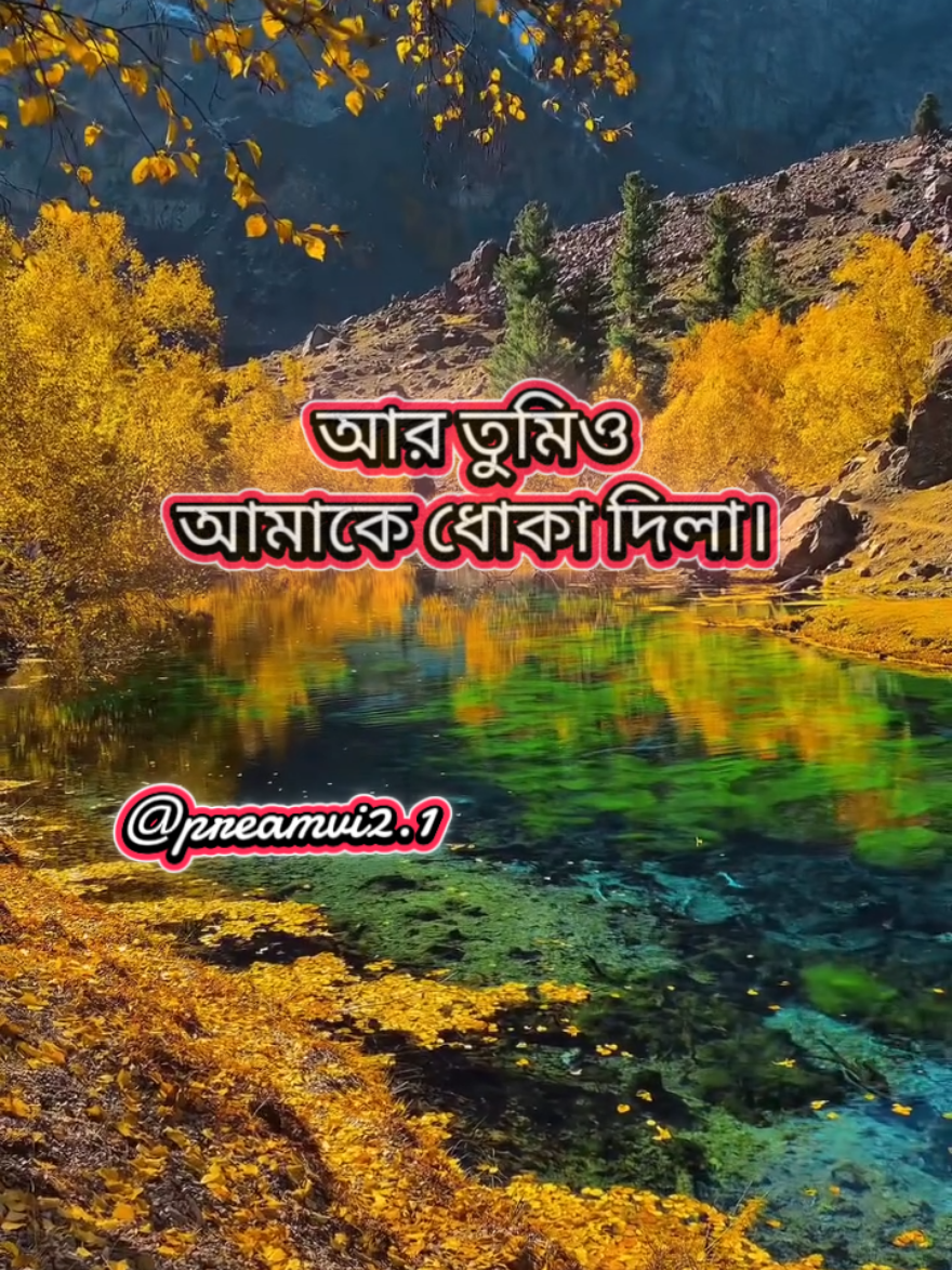 আর তুমিও আমাকে ধোকা দিলা  হাইরে আমার প্রিয় মানুষ #newtrending #vairalvideo #tiktokforyou #bangladesh🇧🇩 #official @preamvi2.1@TikTok @Prema @P.প্রেঁমঁ .◎⃝❥͜͜͡͡ভাঁইঁ◄◉l⃟l⃟l 