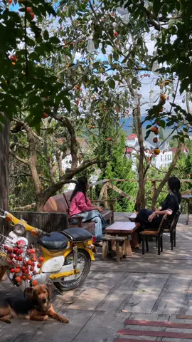 Mùa thu rơi vào em..  🍂 @Chạm-Chữa ☘️☘️☘️ 