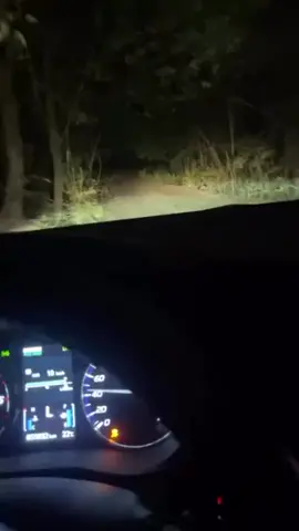 #serradamisericordia 🏴 