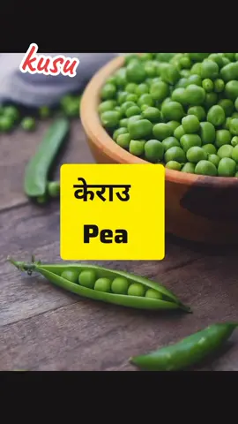 #tiktoknepal #foryourpage #viral #fyp #kusu822 