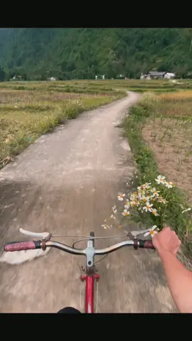 Ngày ấy anh tặng em nhành hoa dại... #xuhuong #fyp #viral 