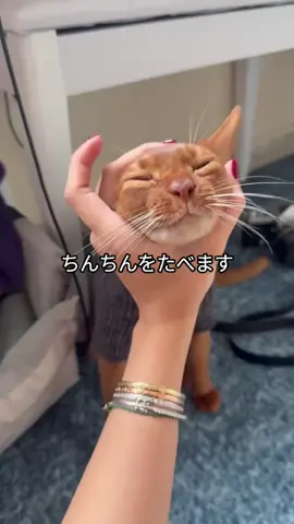 #kenshuseijapan🇮🇩🇯🇵🎌 #tgjepang🇮🇩🇯🇵 #jepangquotes #pejuangyen🇮🇩🇯🇵 #magangjepang 