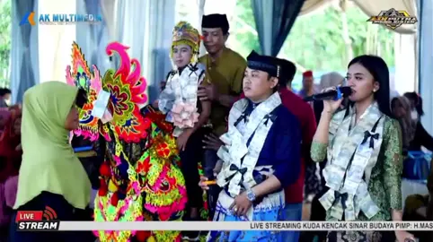 PSB #tiktoklive #livehighlights #sinarbudaya #psbmania 