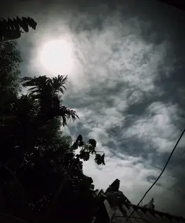 “ 金錢是紙，燒掉它，愛情是塵土，撣去灰塵..！” “ Tiền là giấy, đốt là cháy, tình là bụi, phủi là bay..! “