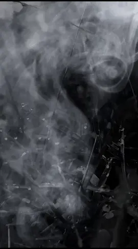 #bismillah  #storytime  #fypシ🌹 