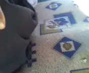 #الله يجعلك الجنه ابوي شايم سلامه الفحيمان الشراري الله يجعلك الجنه الفردوس الاعلى ومن قال امين يارب العالمين 💔