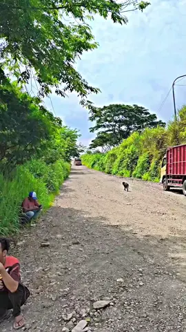 @nusamadosss @ffajar25_ #fyp #well #menyalaabangkuh🔥 