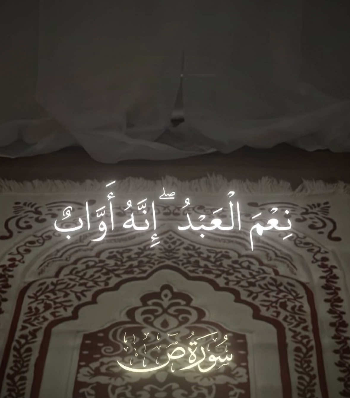 #سورة_ص #سلمان_العتيبي #foryourpage #4upageシ #اكتب_شي_توجر_عليه  