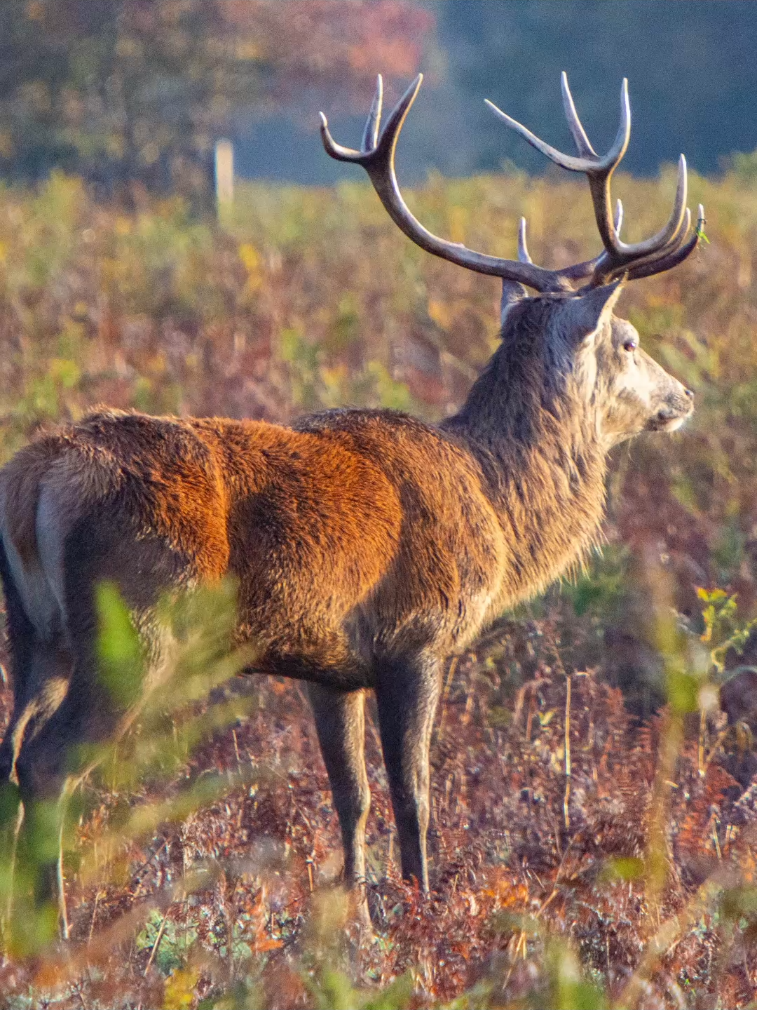 Daily Dose Of Photos 42 #photography #photoshoot #wildlife #naturelovers