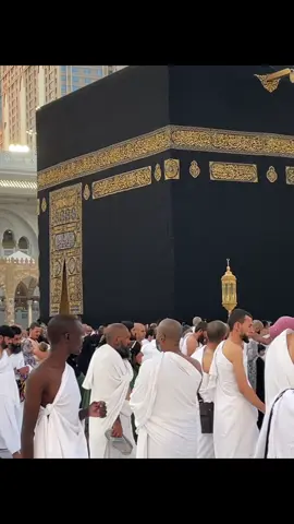 ‏الله أكبر كبيرا والحمد لله كثيرا#pakistan#afghanistan#bngladesh#fyp##foryou