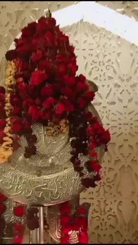 #salamyahussain #tiktokvideo #foryoupage #viralvideo #plztiktokteamviralmyvideo 