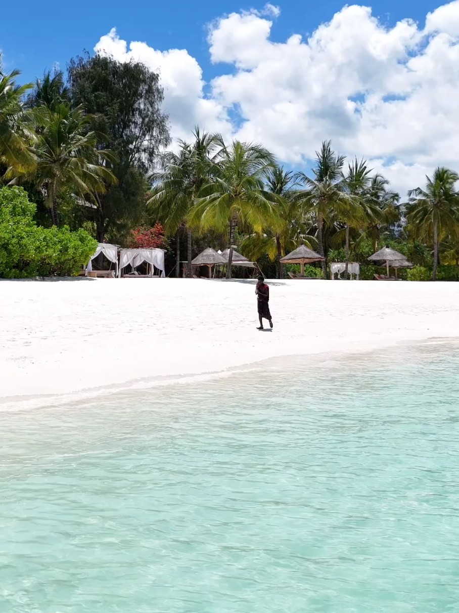Wolking on the white sand beach, anzibar isn’t just a place you visit, it’s a feeling you carry long after you’ve left. 🌴☀️ #zanzibarbeach #fypage #kenyantiktok🇰🇪  #tiktokviral #southafricatiktok🇿🇦 
