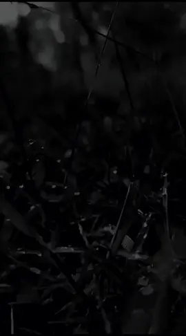 #qoutes #foryou #foryoupage #laguviral #CapCut 