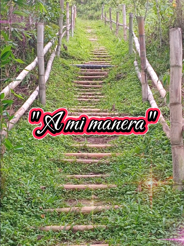 #cancionestendencia  #cancionesparahistorias  #meditartransforma  #cancionesparameditar  #meditarencasa 