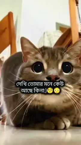 #তোমার উপহার। 😚😚😚 #insatagram #1millonviews #এটাকি_foryou_তে_যাবে #হুম😅💔🥀 