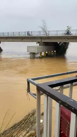 #xuhuong cứu ô chú dưới sông bám trụ cầu #xuhuongtiktok #danang #quangnam 