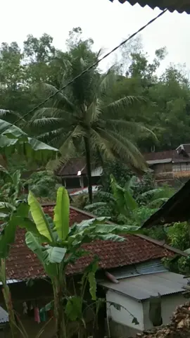 gluduke patenono enek radio