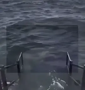 これは流石に笑う#面白い#深夜テンション#おすすめ乗りたい