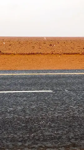 #اكسبلورexplore 