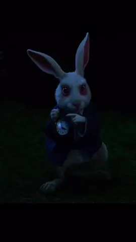🤷🏽‍♀️ In the wonderful tale of Alice in Wonderland, the white rabbit always runs behind by grabbing his pocket watch. This symbolises the time that is out of order between the real world and the wonderful world. #thatstupidfcknwhiterabbitwasright #allroadsleadtorome #rabbitsoftiktok #viral #trend 