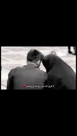 #منشن #كربلاء_مدينة_العشق_والعاشقين 