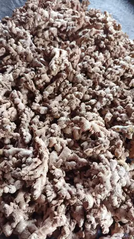 jahe #jahe #jaheemprit #bumbu  #minuman #herbal 