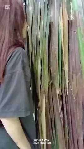 #JMfyang #bts  #ghosthing  #PO 