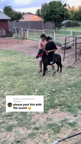 Replying to @luke_carter_lc  🤣🤣🤣🤣 