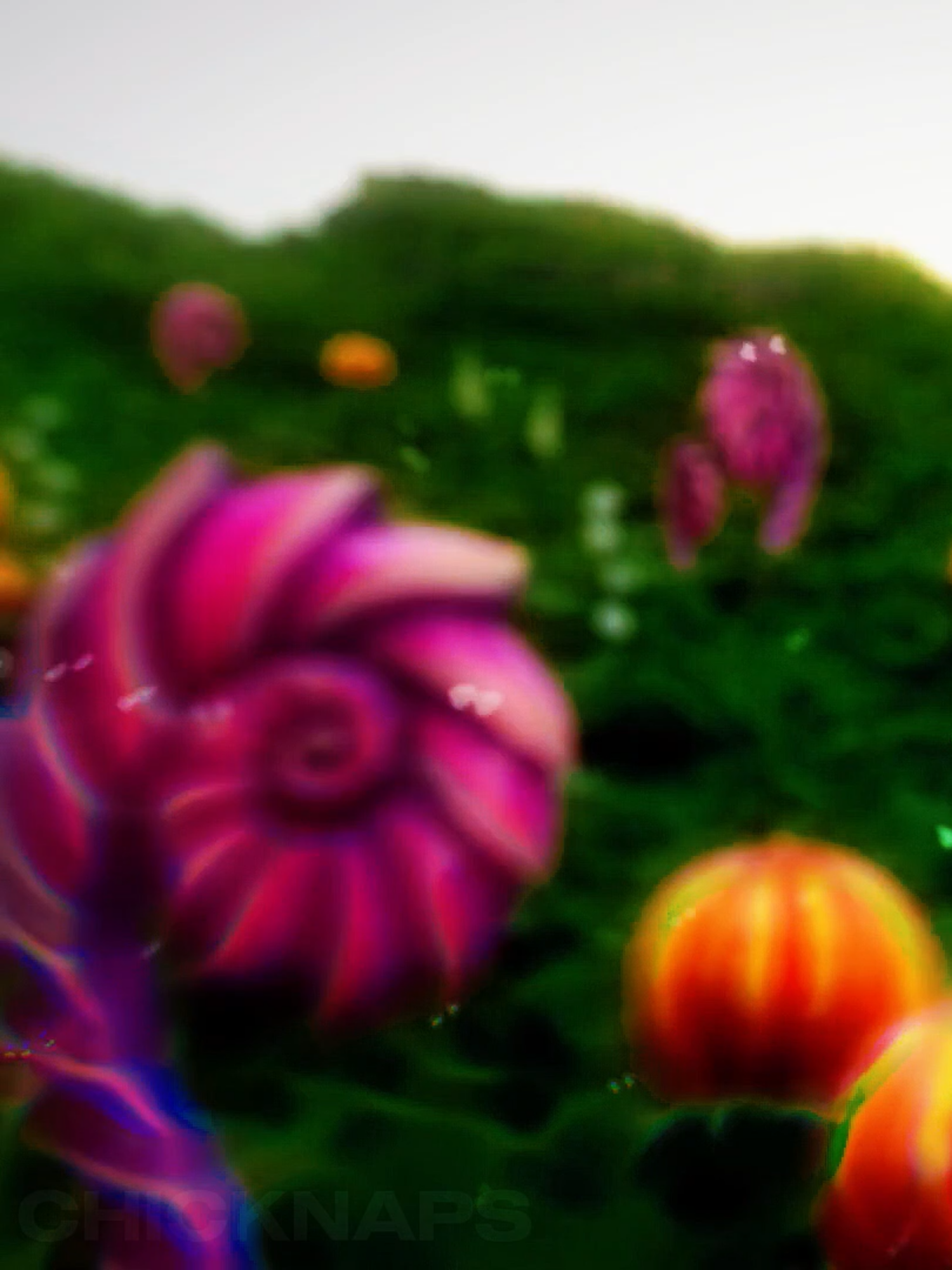 fruit salad #kamenrider #kamenrideredit #kamenridergaim #tokusatsu #edit #edits #fyp #fypシ