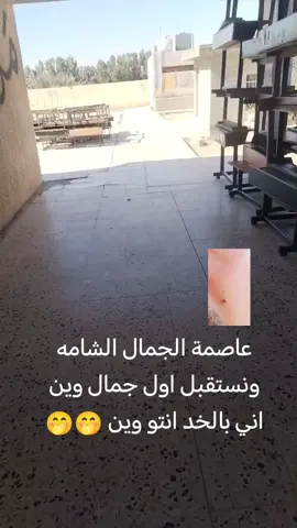 #بغداد بغداد #اكسبلور #الموصل_دهوك_اربيل_بغداد_كركوك الأنبار البصره #اكسبلور #الشعب_الصيني_ماله_حل 