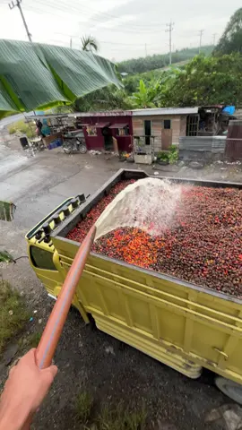 Biar dapat potongan rendah,makanya di bersihkan dulu😜