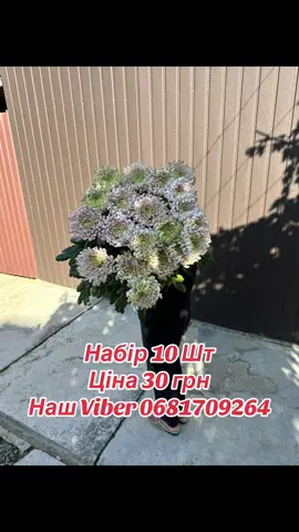 #рекомендації 