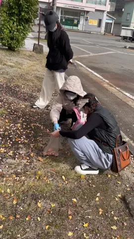 Chờ thạch thảo nở lâu quá,thôi thì chúng em ăn quả cho nó nhanh ạ#muathunhatban 