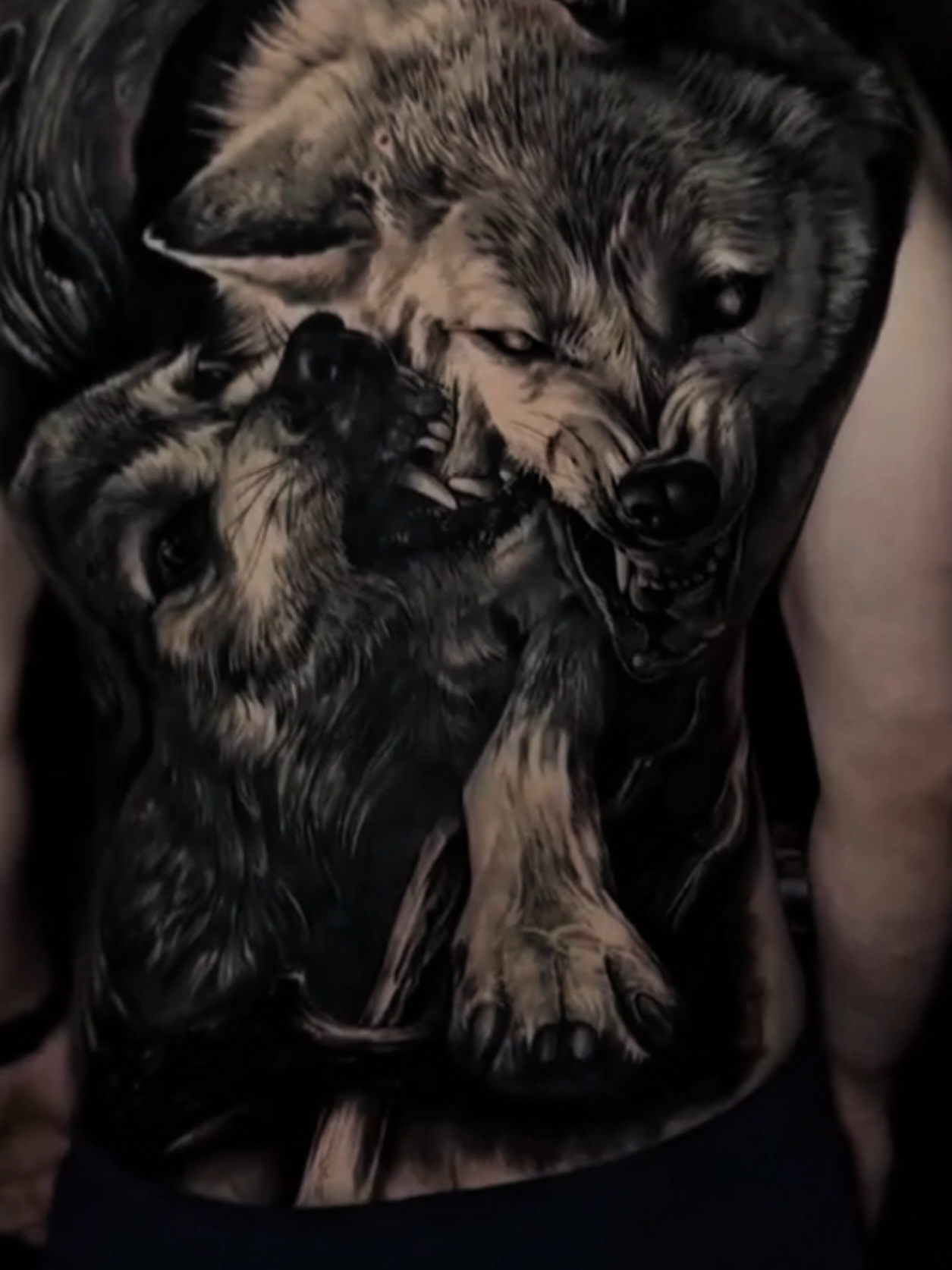 Full lưng 2 con sói trắng đen #hinhxamdep #tiemxamtathuc #hinhxamtathuc #xuhuong #hinhxamsoi 