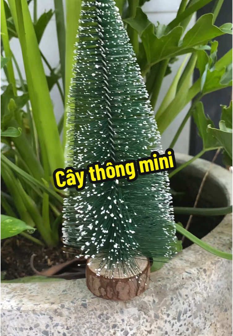 Cây thông mini  #caythongnoel #viral #xuhuong #nhacuadoisong #casago8386 