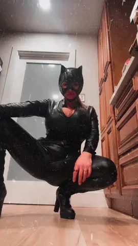 #CatWoman #FanFix #Halloween #Sassy #catsuit 