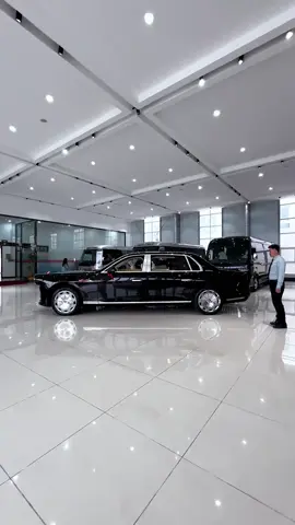 Hongqi luxury car (a symbol of state gifts)