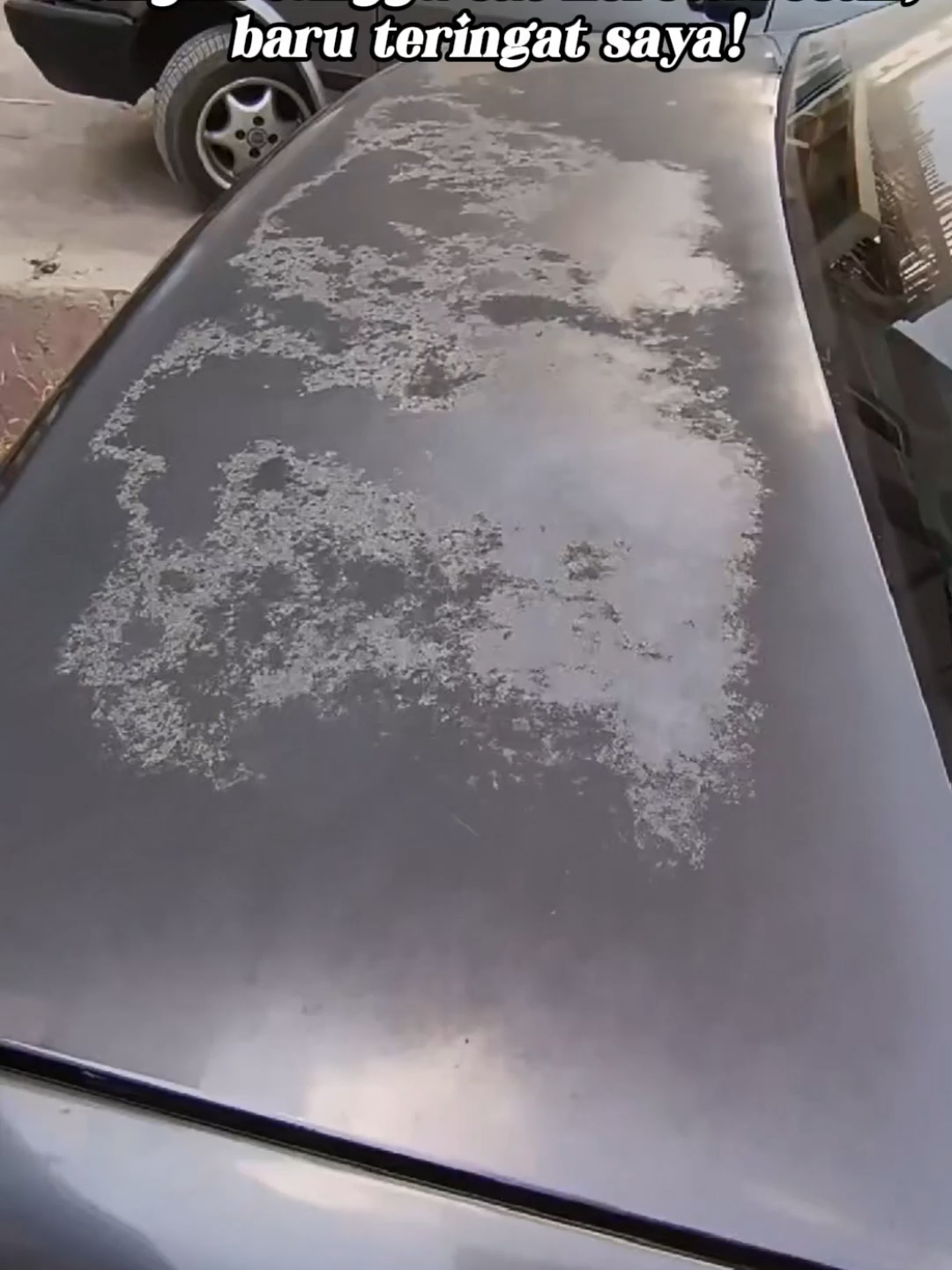 Kereta~Motosikal mula pudar Jangan risau bro! Untuk MotosikalKereta Kereta Lama Sekejap Jadi Baru - Pulih Kilau, Buat Cat Berkilau Seperti Cermin! Langsung tak perlu pergi kedai cat! Cuma 1 minit!!