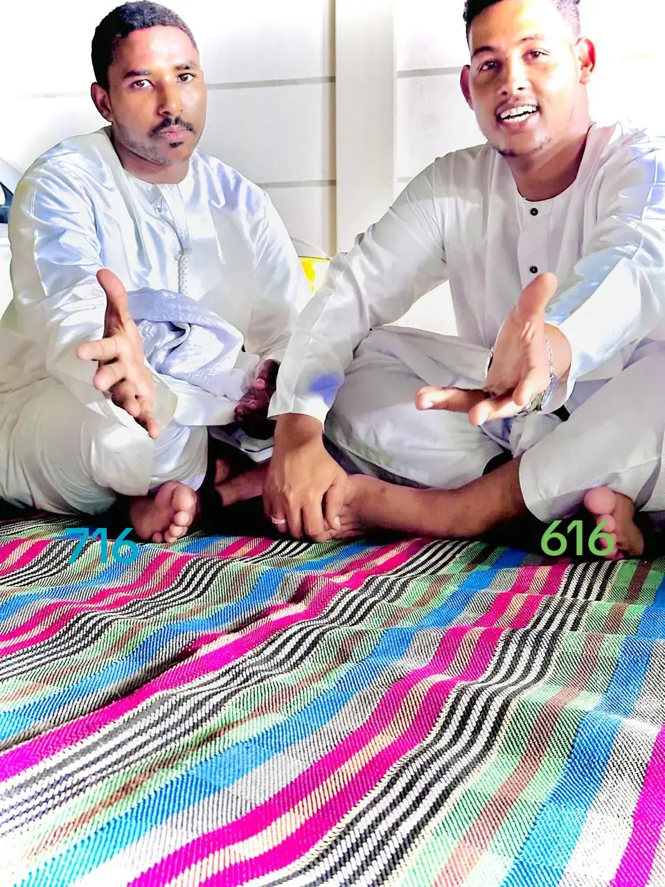 #اكسبلور_تيك_توك # شكاري وربك داري بوادره فصيله نادره