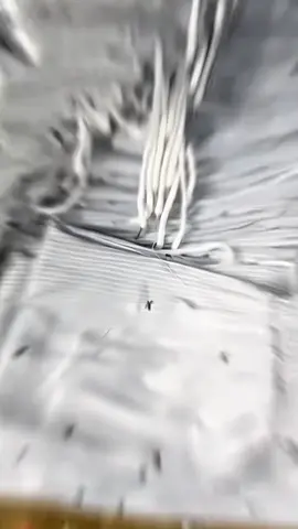 Quần Ông Rộng Nữ Dáng Dài Kẻ #quanongrongnu #xuhuong 