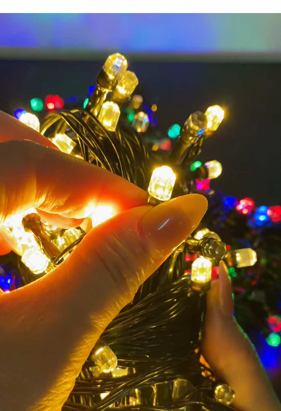 Năm nay mua sớm đủ màu mà zá đầu vụ rẻ #dennhay #denled #denledtrangtri #denledtrangtri #trangtritet 