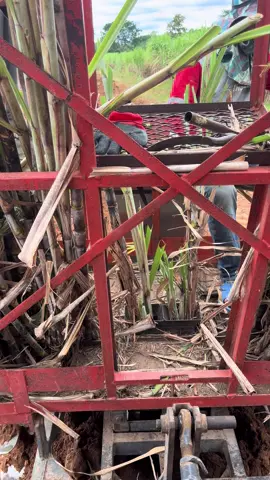 อยากแค้นเด้เนาะ 🤣🎋#ไร่ธรรมมะเจริญ🎋 #โรงงานน้ําตาลเอรวัณหนองบัวลําภู #หนองบัวลําภูหวานมาก #วัยรุ่นทําไร่ 