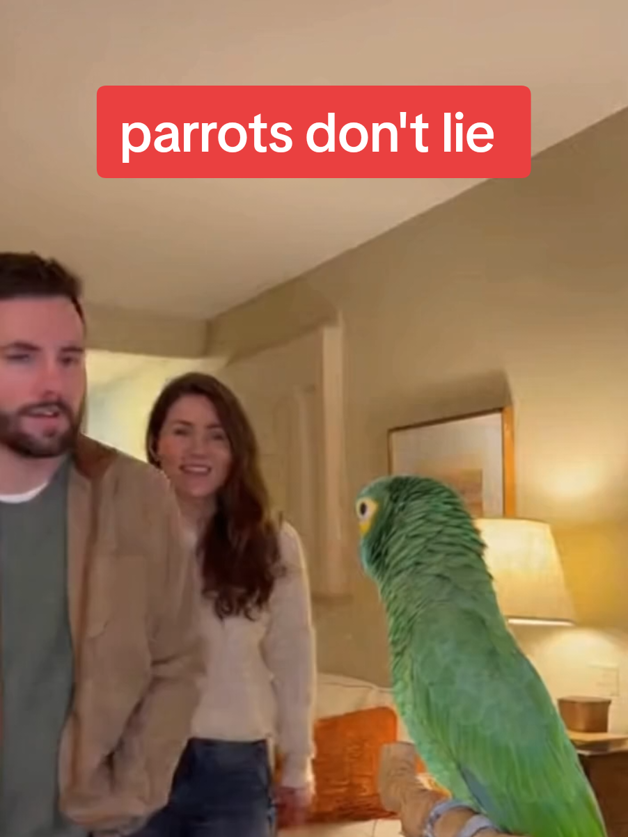 Boil the water, parrot joke, parrots don't lie 🦜😂 #water #parrot #joke #truth #boiling