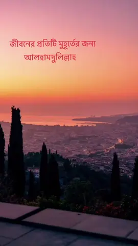 জীবনের প্রতিটি  মুহূর্তের জন্য আলহামদুলিল্লাহ #chowchowpuppy #foryoupage❤️❤️❤️foryou💞💞💜 #tiktok 