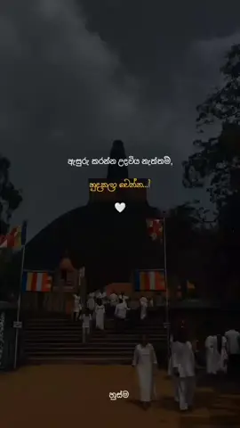 #හුදකලා_වෙන්න_#foryou #foryoupage #tending #wairal__video 