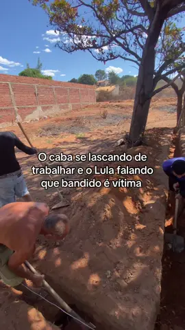 #viral #lula #trabalho #fy 